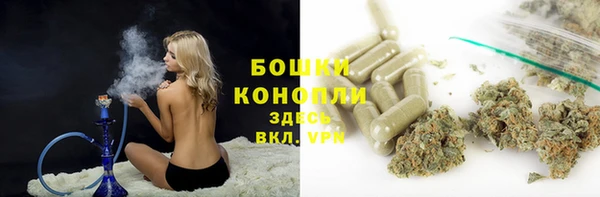 кокс Бородино