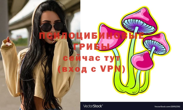 кокс Бородино