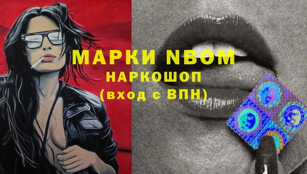 кокс Бородино